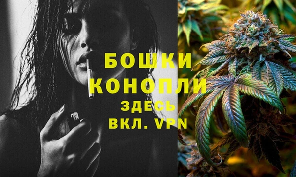 крисы Янаул