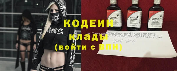 молекула духа Зеленодольск