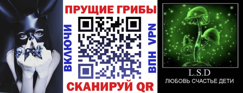 купить   Севск  Галлюциногенные грибы Cubensis 
